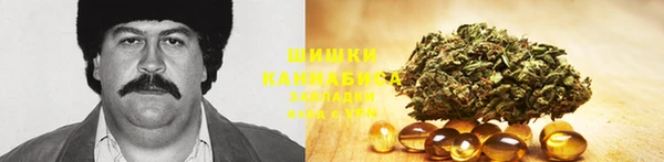гашик Липки