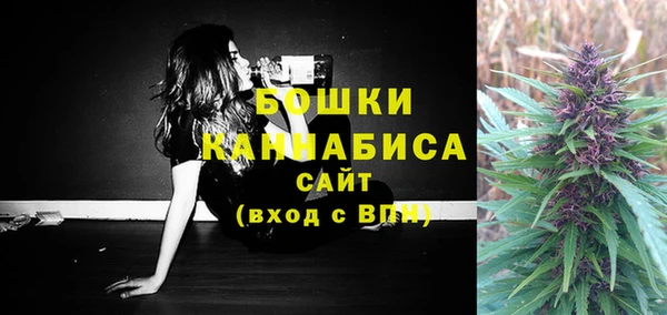 гашик Липки