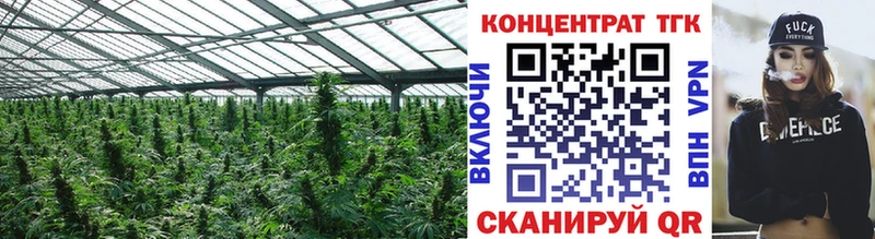 blacksprut вход  Осташков  ТГК вейп с тгк 