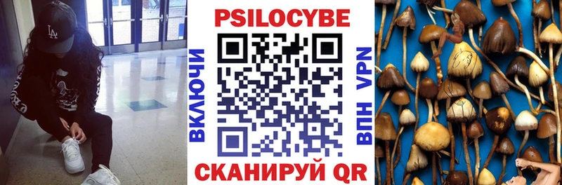 Галлюциногенные грибы Cubensis  купить   Осташков 